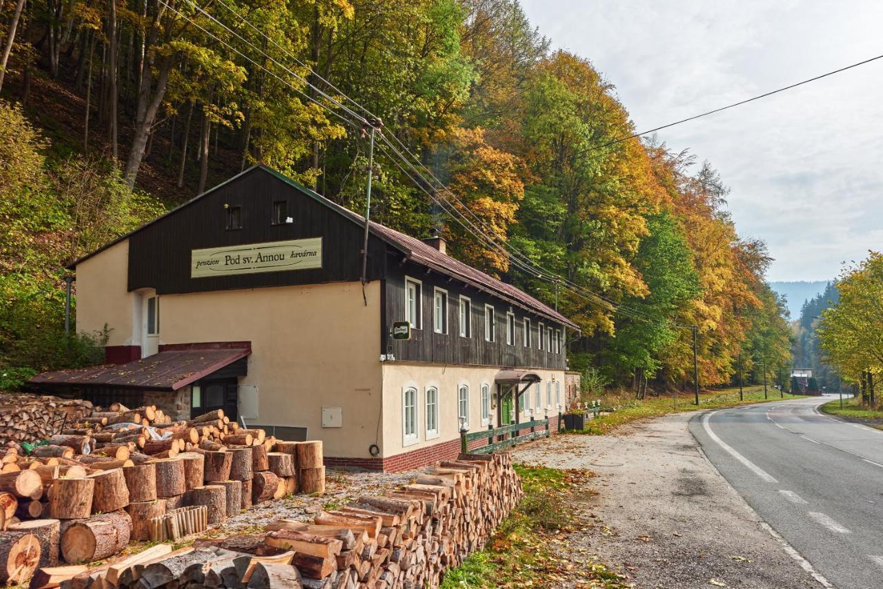 Pod Svatou Annou - Penzion A Rizkovna Horni Marsov Exterior photo